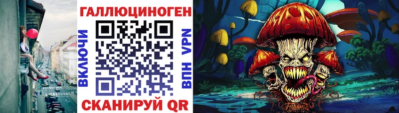 Псилоцибиновые грибы Cubensis  Глазов 